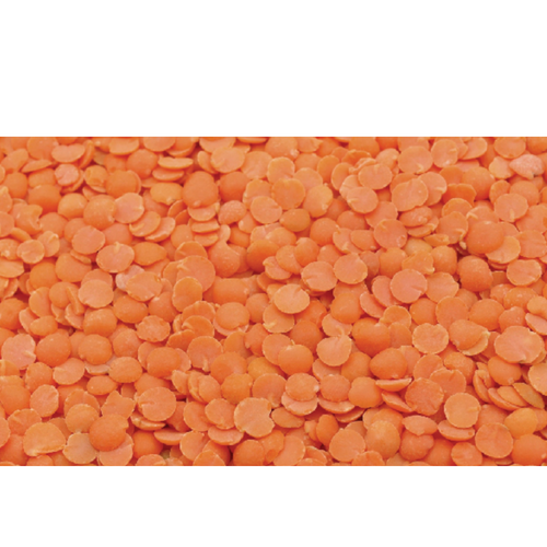Masoor Dal