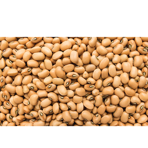 Cowpeas
