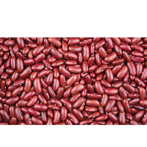 Kidney Beans (Rajma)