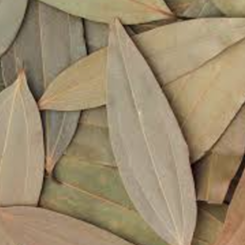 Bay Leaf