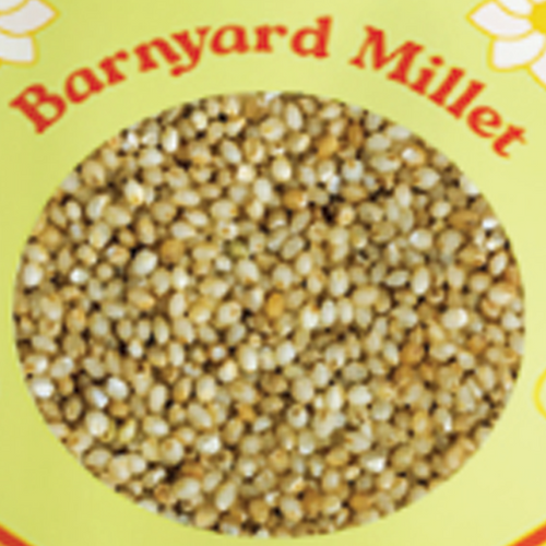 Barnyard Millet