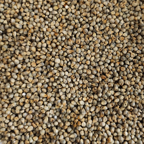 Green Millet