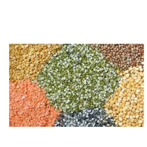 PULSES