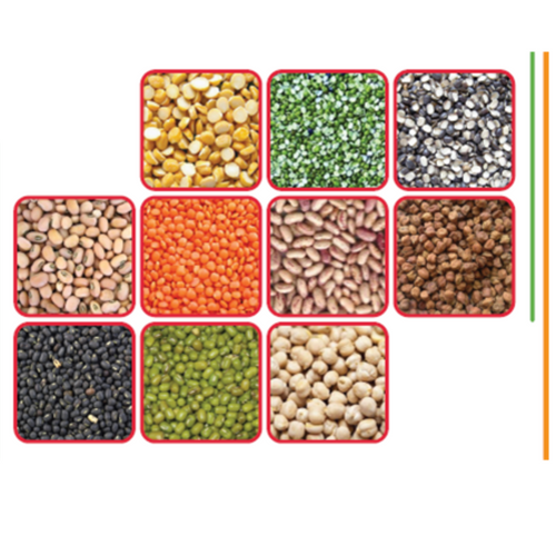 PULSES