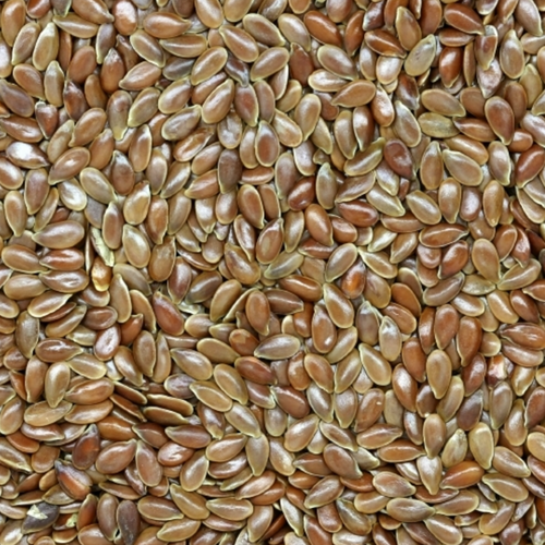 Organic Flax Seed