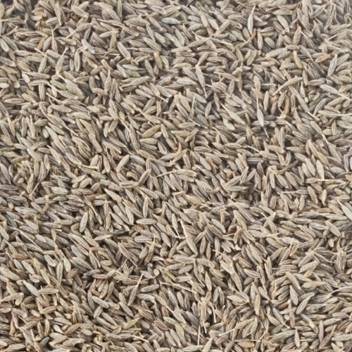 Cumin Seed