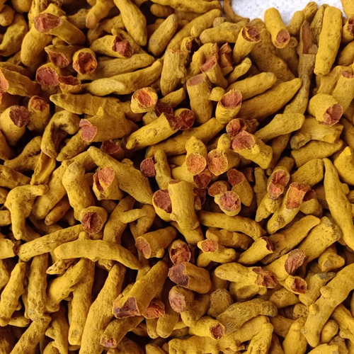 TURMERIC FINGER