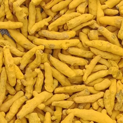 TURMERIC FINGER