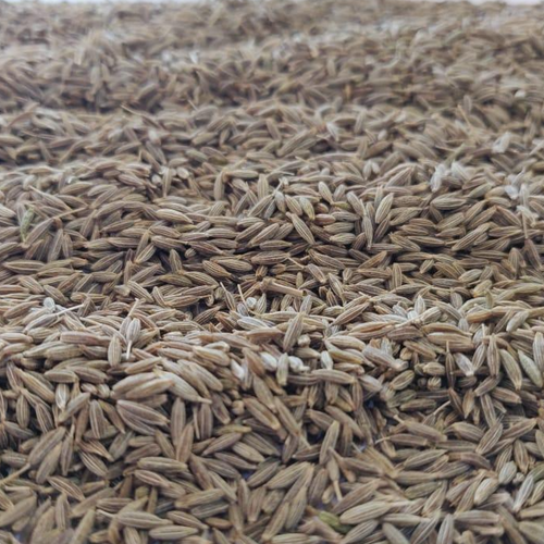 CUMIN SEED