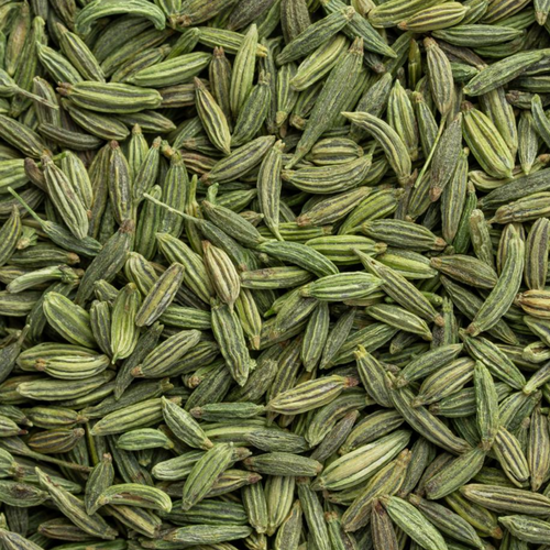 FENNEL