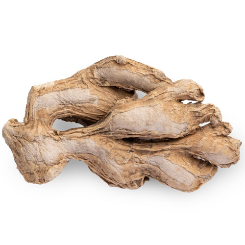 DRY GINGER