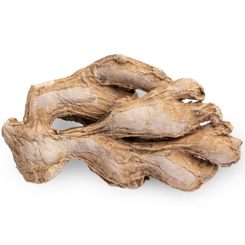 DRY GINGER