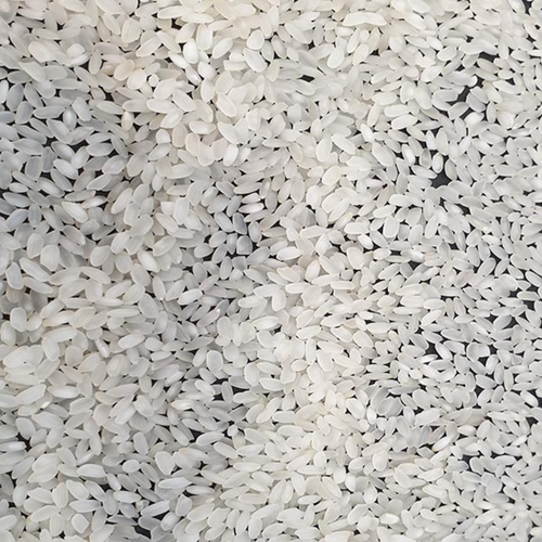 Camolino Rice