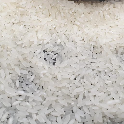 Indian Non-Basmati Medium Grain White Rice