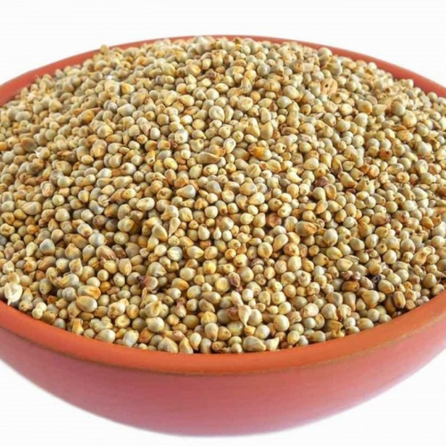 GREEN MILLET