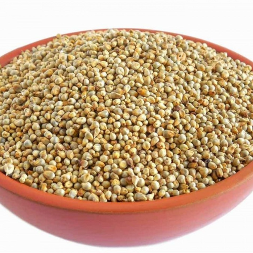 GREEN MILLET