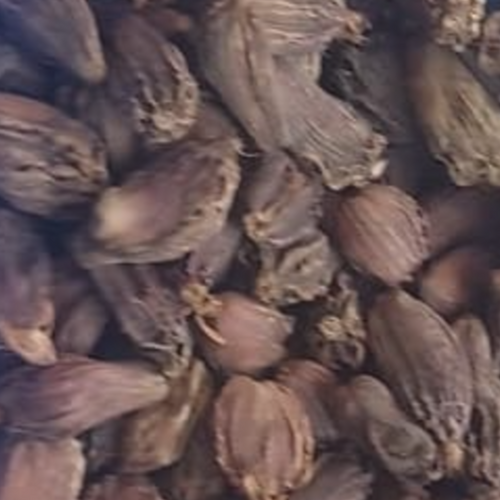 BLACK CARDAMOM