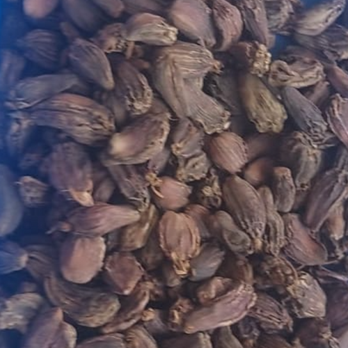 BLACK CARDAMOM
