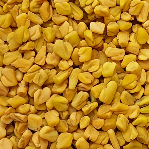 FENUGREEK