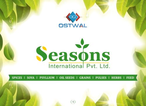 SEASONS INTERNATIONAL PVT. LTD.