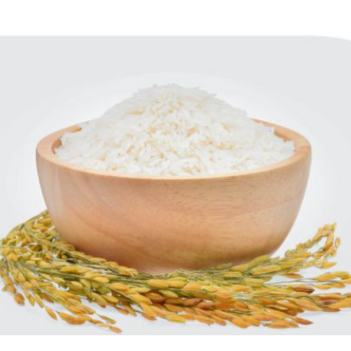 SWARNA RICE