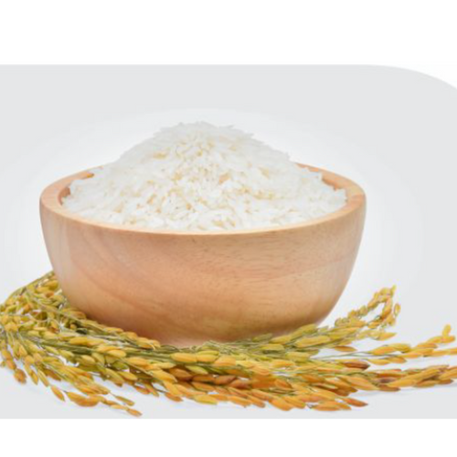 SWARNA RICE