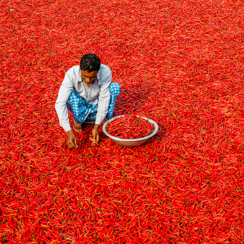 CHILLI POWDER