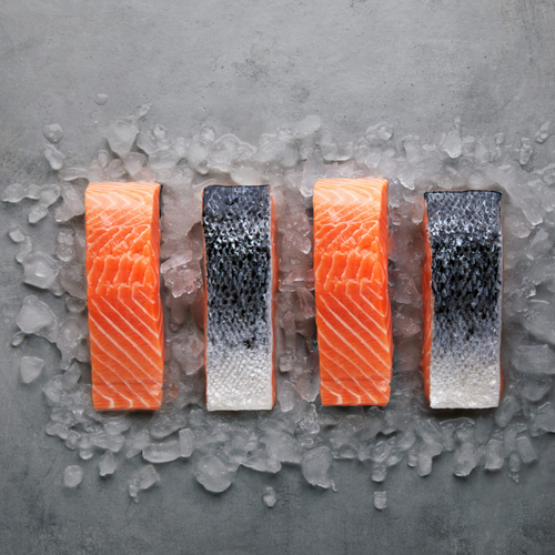 Salmon