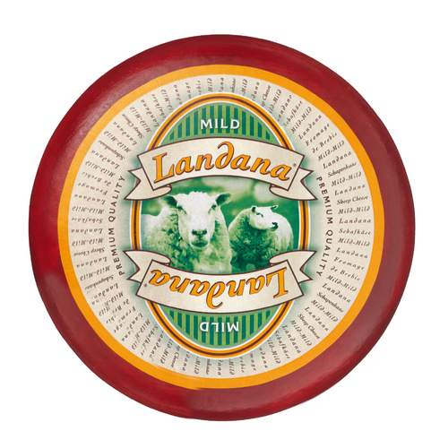 Landana sheep cheese mild