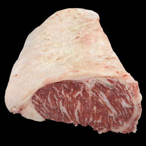 MB6-9+ STRIPLOIN