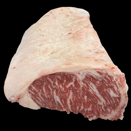 MB6-9+ STRIPLOIN