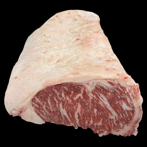 MB6-9+ STRIPLOIN
