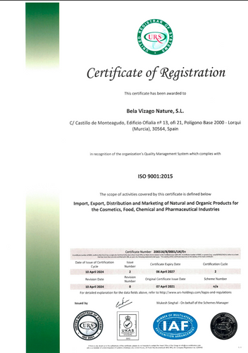 ISO 9001