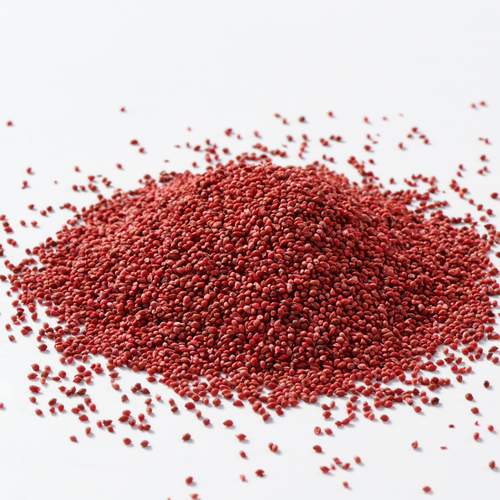 Cranberry Seeds