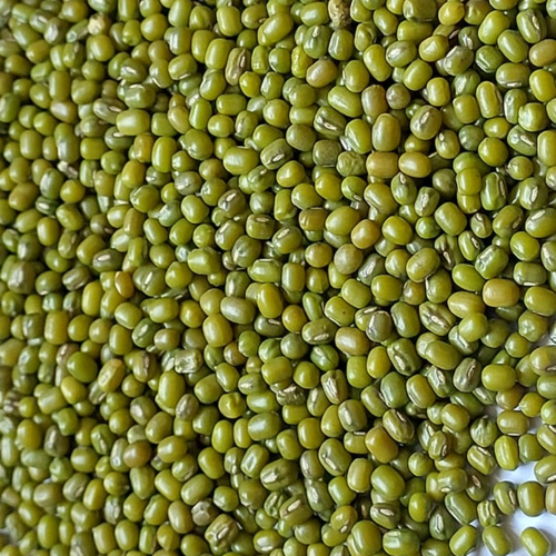 Green Moong Bean