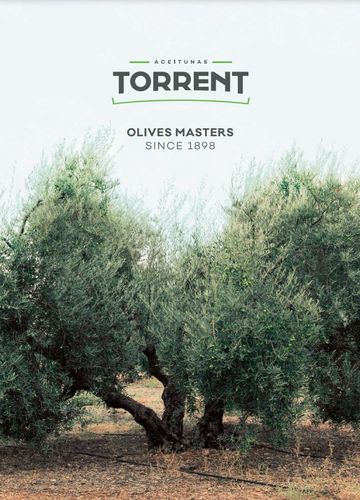 TORRENT