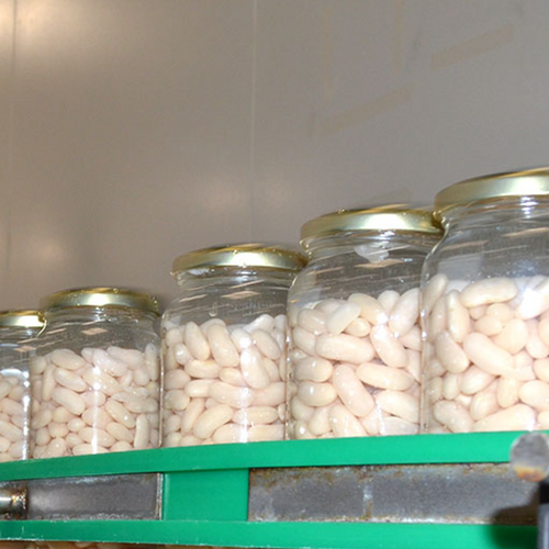Canned Organic White Beans - Picuezo Selección