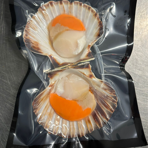 SCALLOPS