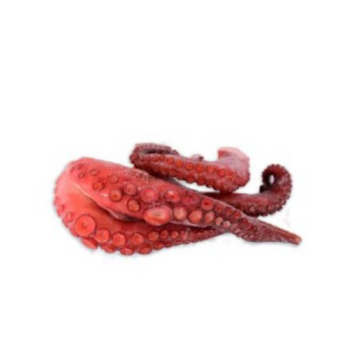 Frozen cooked octopus tentacles