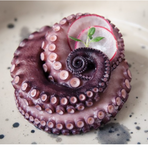 Frozen raw octopus in tray