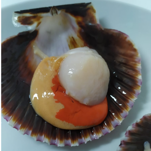 Half shell scallops