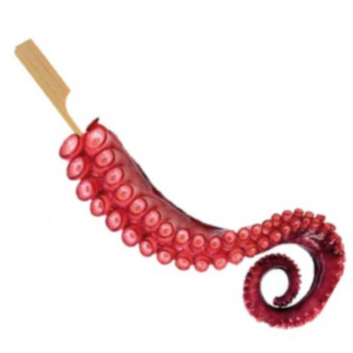 Frozen cooked octopus tentacles
