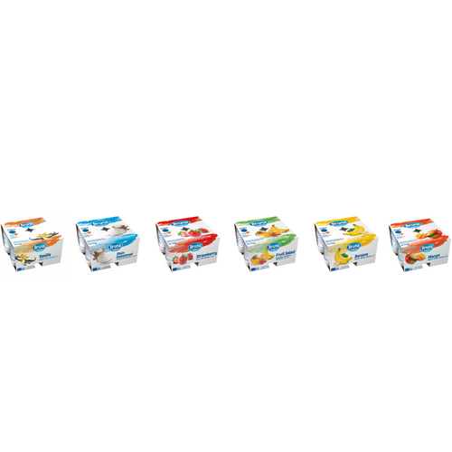 LONG-LIFE YOGURT 4x125 gr Shelf Stable – Fruit Salad