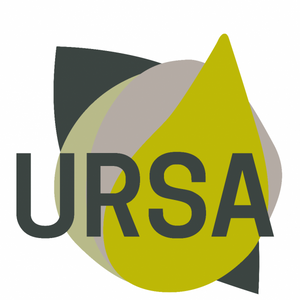 Group Ursa