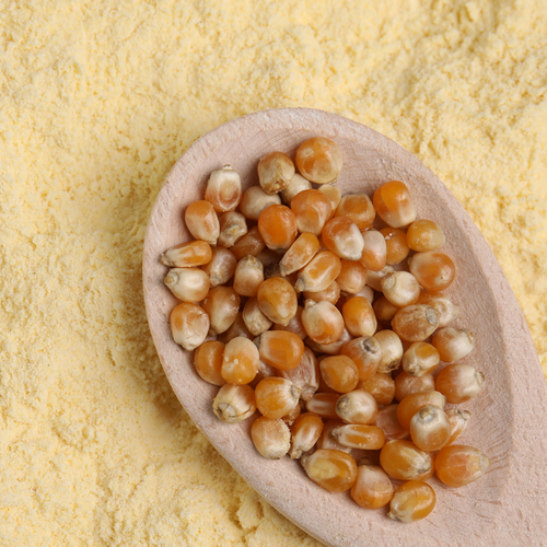 Spanish Corn Flour