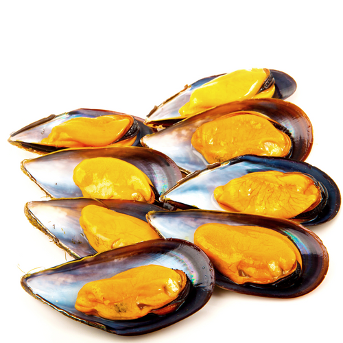 Galician Half Shell Mussel