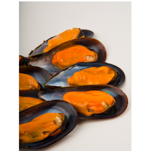 Galician Half Shell Mussel