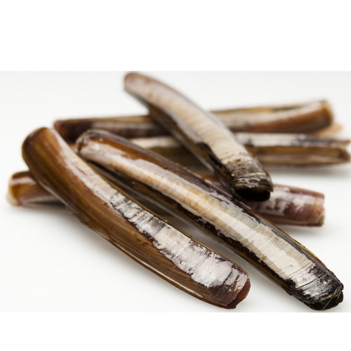 Pasteurized Razor Clam