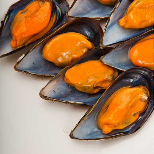 Galician Half Shell Mussel