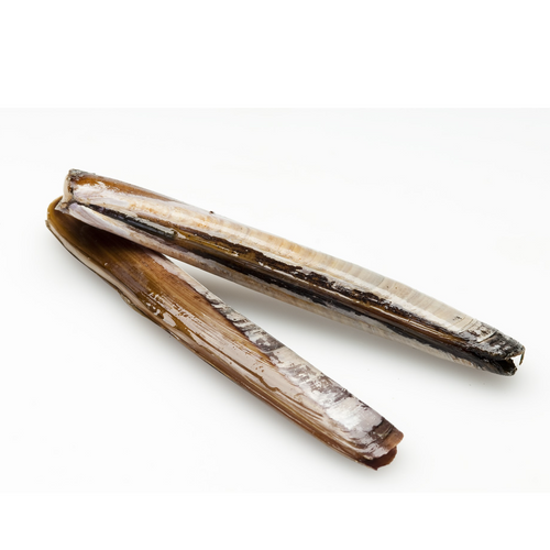 Pasteurized Razor Clam